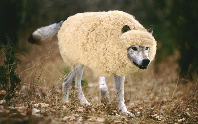 Tax Reform: Beware of Wolf in Sheep’s Clothing